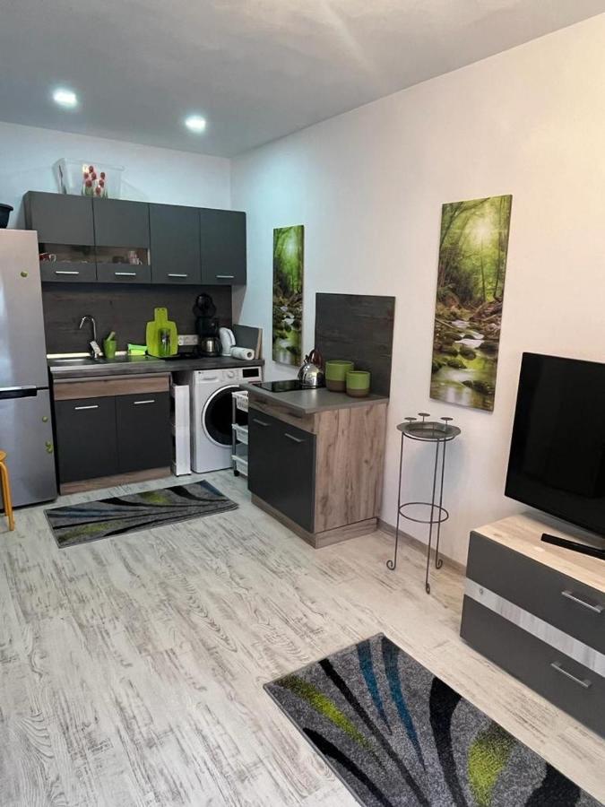 Apartament Acasa Sf.Gheorghe Сфинту-Ґеорґе Екстер'єр фото