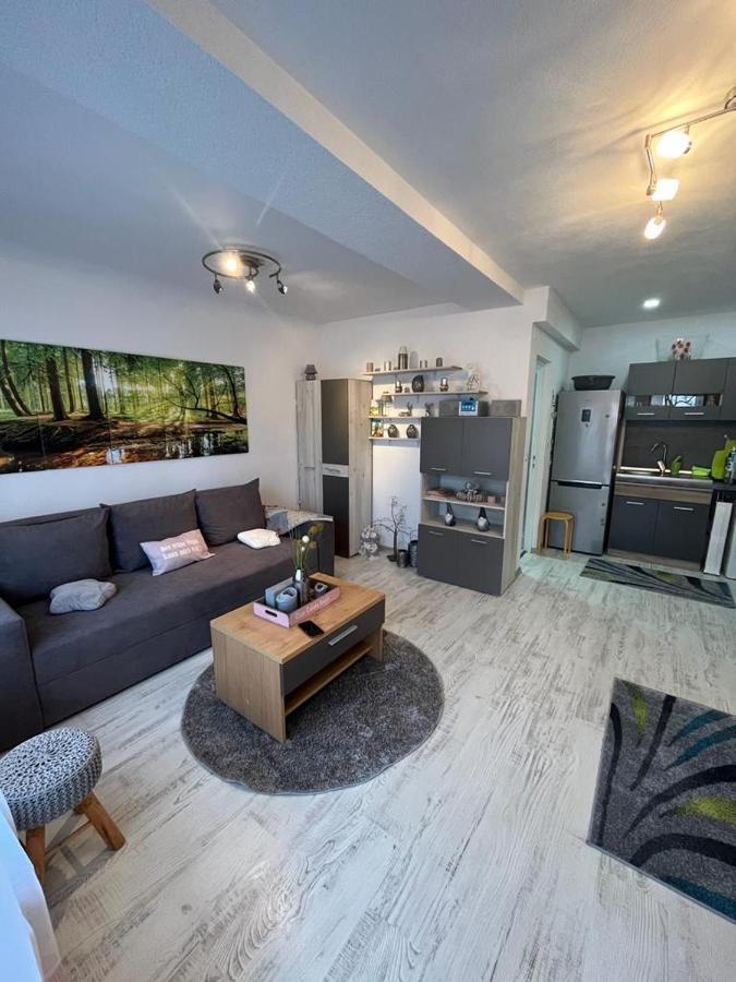 Apartament Acasa Sf.Gheorghe Сфинту-Ґеорґе Екстер'єр фото